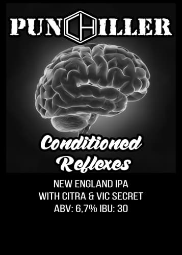 IPA - New England / Hazy